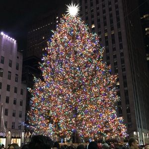 Meet your Posher, Ally